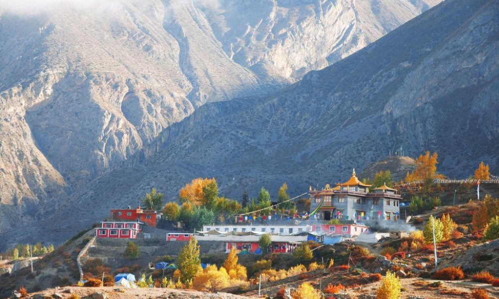 WhatsApp Image 2025-10-01 at 21.03.56 WhatsApp Image 2025-10-01 at 21.03.56